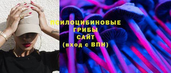 ГАЛЛЮЦИНОГЕННЫЕ ГРИБЫ Абаза