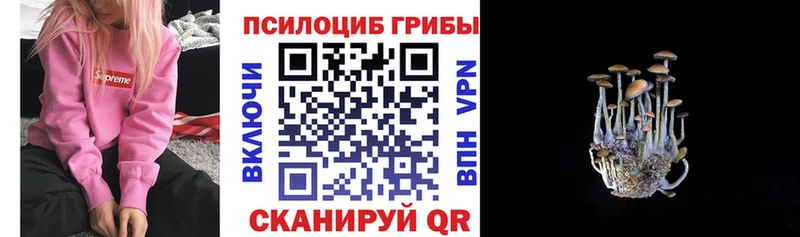 Псилоцибиновые грибы прущие грибы  Зеленогорск 