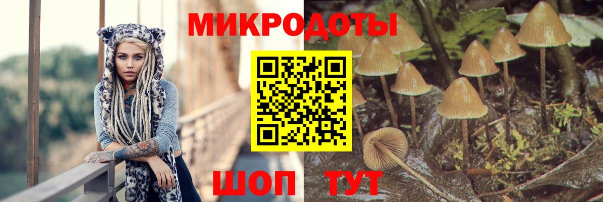 Зеленогорск  Галлюциногенные грибы прущие грибы  Вход с VPN 